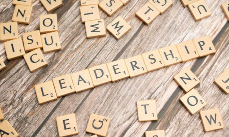 Leadership and Trainer resources