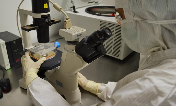 What is Healthcare Science?